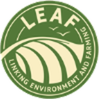 LEAF