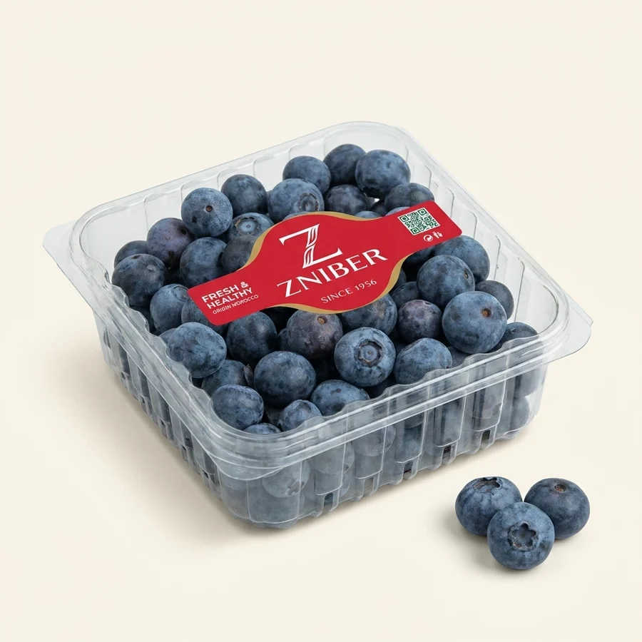 ZNIBER blueberry punnet